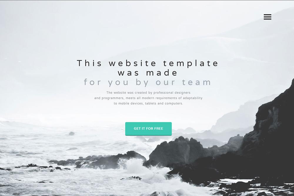 Website order Service company landing page